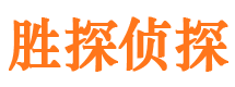 郊区侦探公司